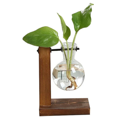 Hydroponic Plant Vase