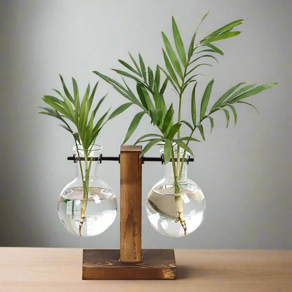 Hydroponic Plant Vase