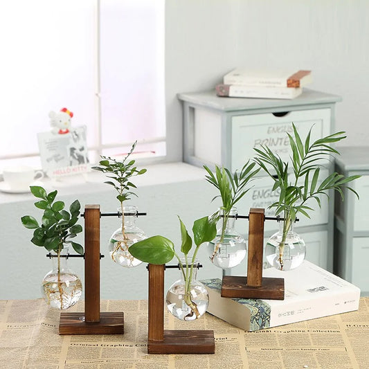 Hydroponic Plant Vase