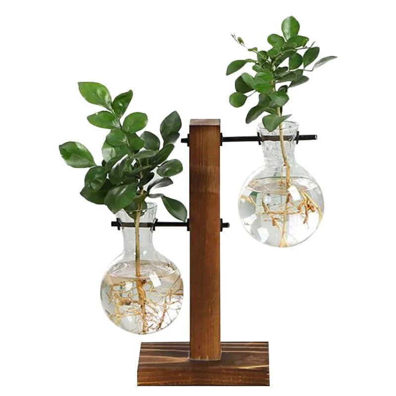 Hydroponic Plant Vase